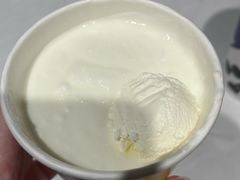 -西琳姑娘·新疆冰淇淋酸奶茶(南开大悦城店)