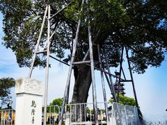 -观潮胜地公园