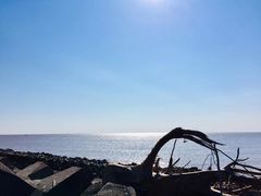 -碧海金沙