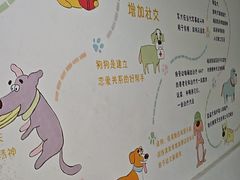 -瑞派申生动物医院·24H夜诊·国际动物医疗中心·骨外科(吴中路店)