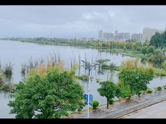 -野菌皇海景野生菌火锅(滨海大道店)