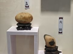 -上海滨江森林公园