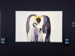 -罗红摄影艺术馆