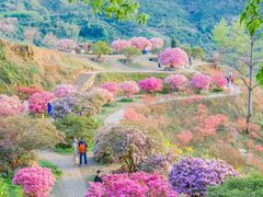 -篁岭景区