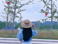 -东郊湿地公园