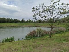 -两河城市森林公园