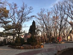 -燕窝岭