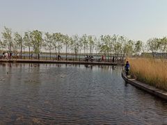 -绿堤公园