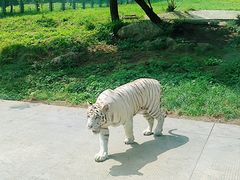 -西安秦岭野生动物园