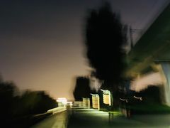 -宝安西湾红树林湿地公园