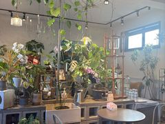 -青莯_Percher Coffee Shop(皮市街店)
