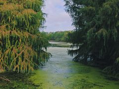 -上海海湾国家森林公园