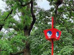 -青岛崂山太清宫