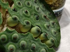-杭州杭帮菜博物馆