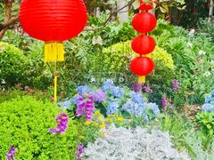 -晓港公园