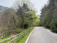 -木兰云雾山