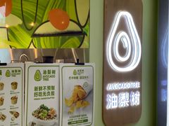 -油梨树AVOCADO TREE(望京店)