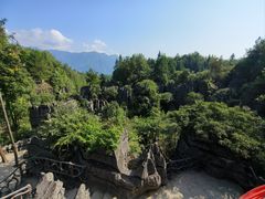 -梭布垭石林景区