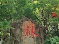 -杭州黄龙洞