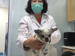 -瑞派·关忠动物医院·异宠专科·犬猫肿瘤·皮肤专科(望京店)