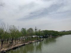 -大兴滨河森林公园