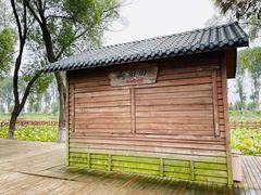 -洪湖生态旅游区