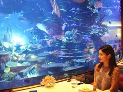 -迪拜帆船酒店海底餐厅
