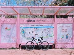 -高东镇樱花园
