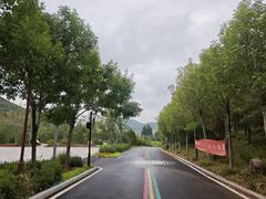 -佛慧山