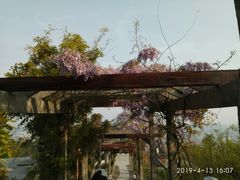 -缥缈峰景区