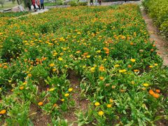 -神光山国家森林公园