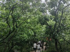 -杭州半山国家森林公园