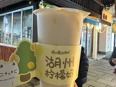 -猫的魔法密林(衣裳街店)