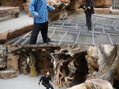 -华夏文旅西安度假区
