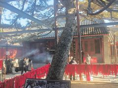 -红螺寺