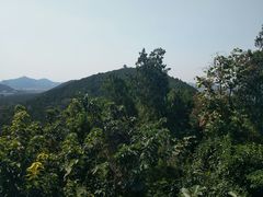 -云龙山