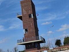 -春花秋色城市公园