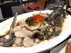 青花椒蒸龙胆鱼-闽和南(深圳万象城店)
