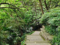 -重庆彩云湖湿地公园