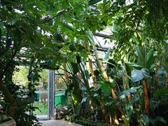 -南山植物园