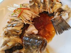 -博雅渔港·融合菜(维也纳国际大酒店)