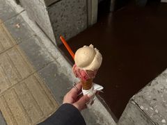 -Dip in Gelato(富民路店)
