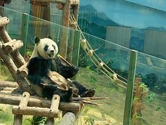 -大连森林动物园