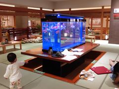 -大江户·温泉洗浴(浑南店)