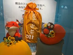 -台场海滨公园船码头