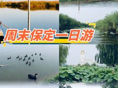 -白洋淀景区
