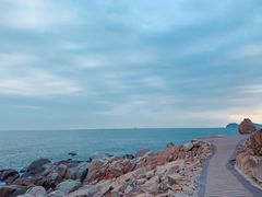 -广东惠东海龟国家级自然保护区