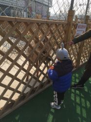 -萌宠亲子动物乐园(槐房万达店)