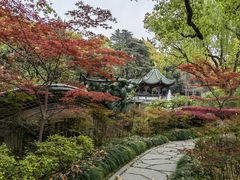 -申粤轩酒楼·三十年粤菜经典(丁香花园店)