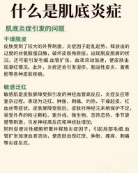 点击看大图 -玛莲朵·海菲秀冰珀科